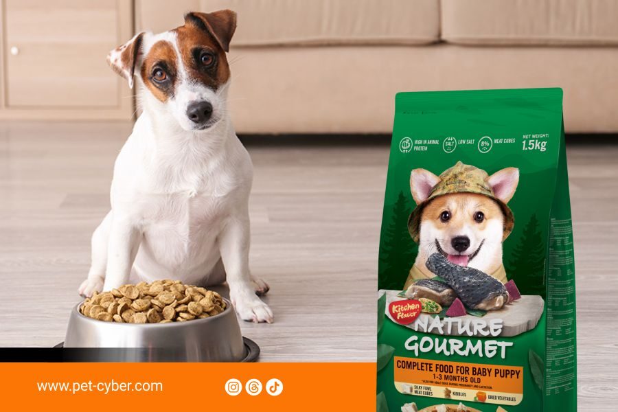 Jual Pakan Kucing dan Anjing di Yogyakarta