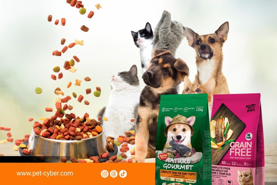 Rekomendasi Pet Shop di Yogyakarta